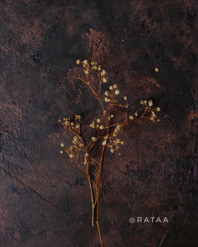 Cookie_Tray_Rataa_Photography_Backdrop Sri lanka_6
