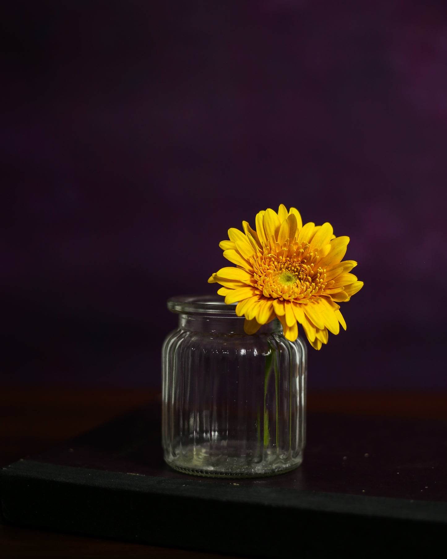 Florance Canvas Backdrop