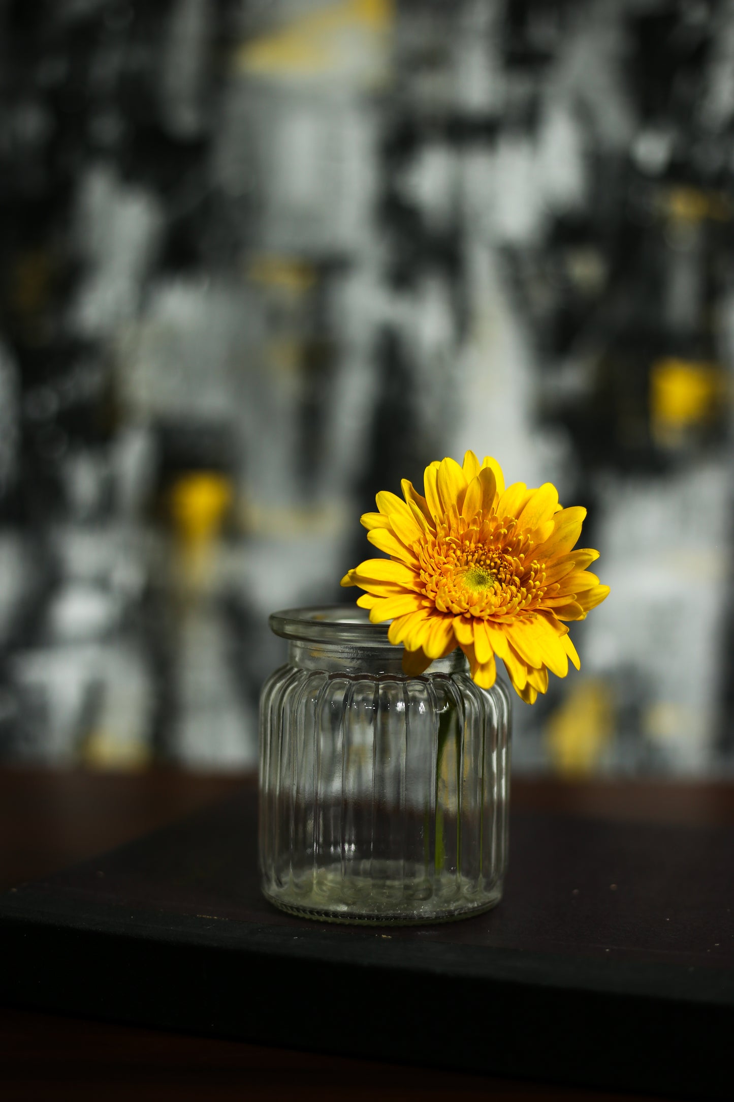 Roscoe Canavs Backdrop