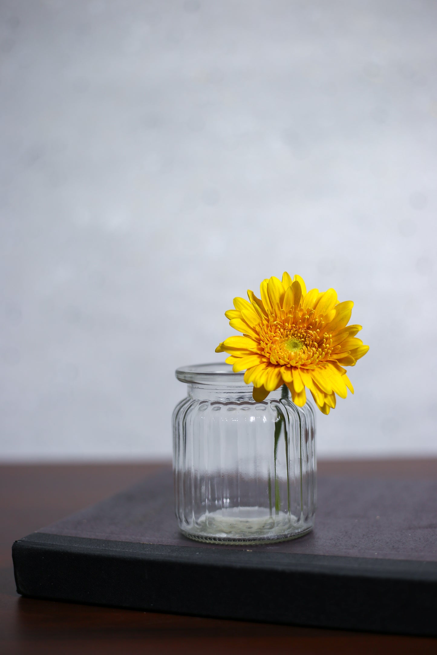 Cantera Canvas Backdrop