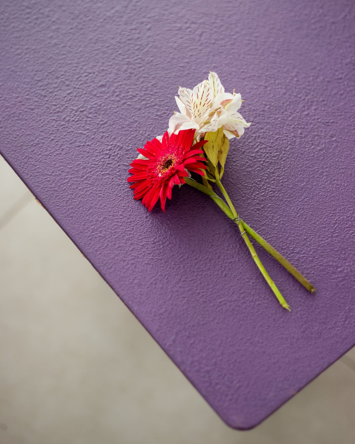 Viola Backdrop