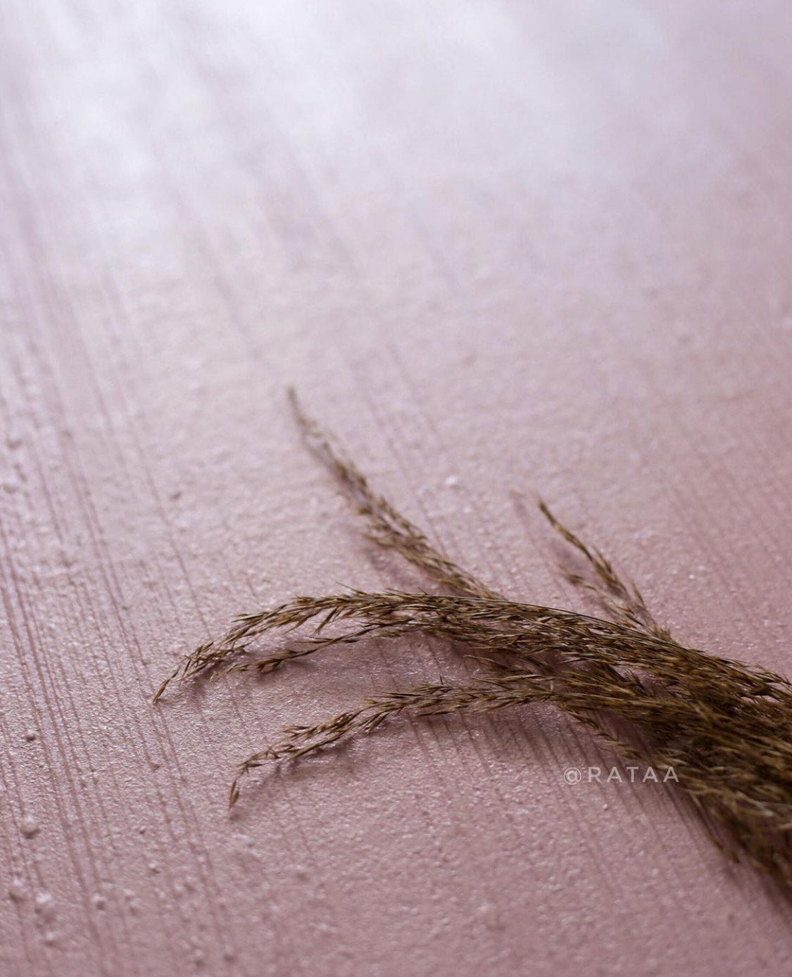 Pinkalicious Backdrop