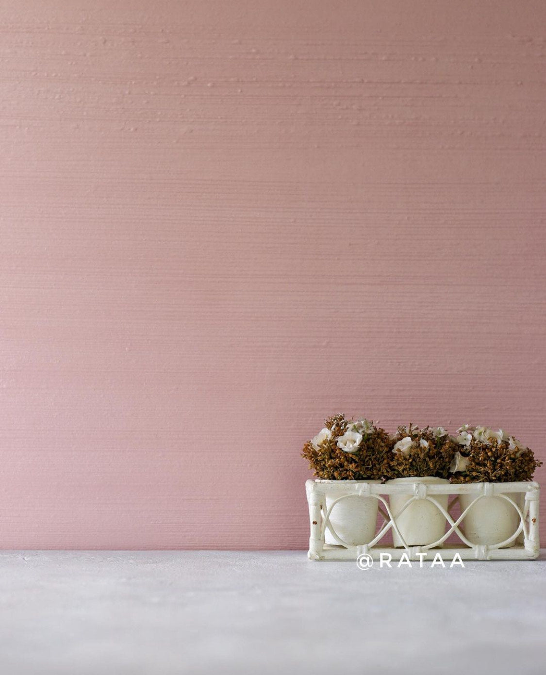 Pinkalicious Backdrop