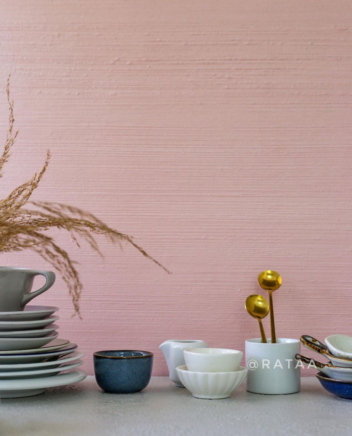 Pinkalicious Backdrop