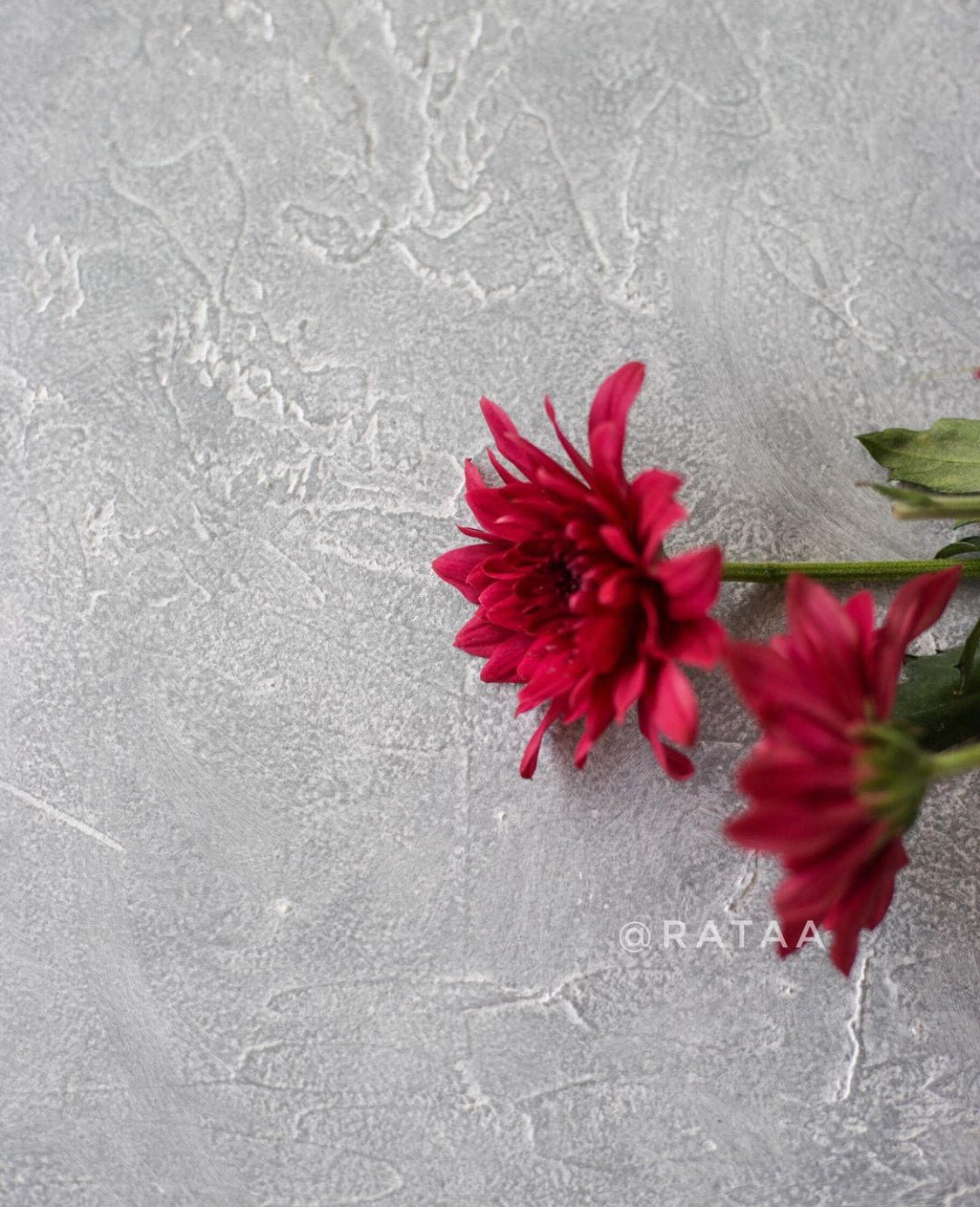Concrete Backdrop