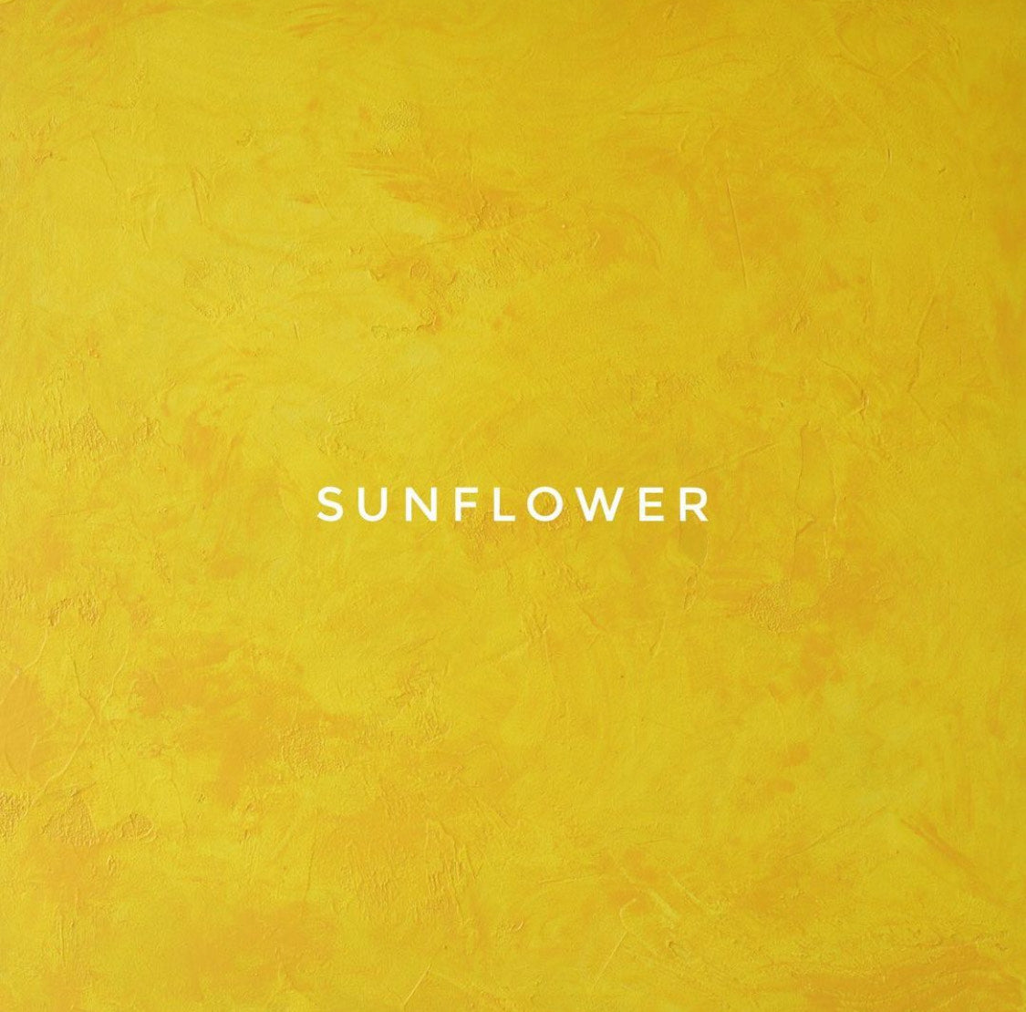 Sunflower Backdrop