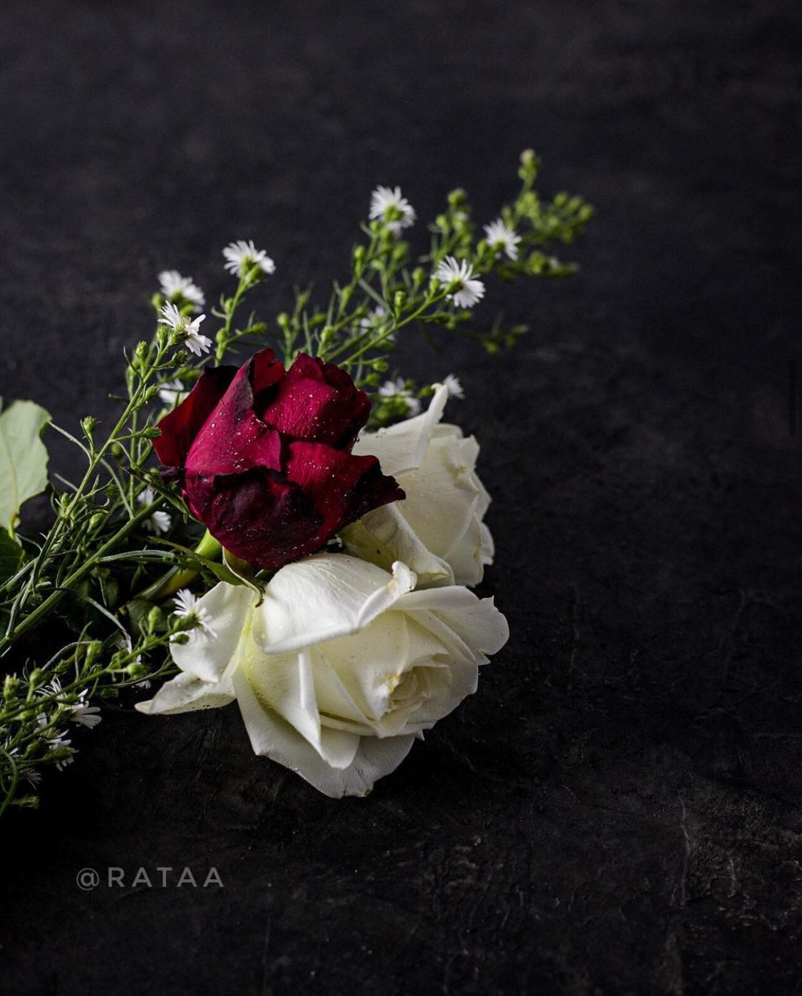 Black Grunge Backdrop