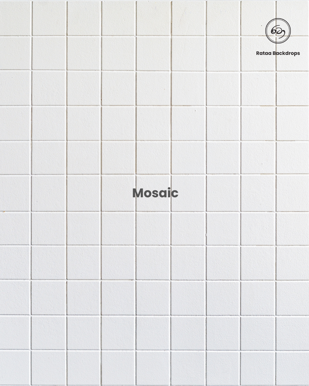 Mosaic Tiles Backdrop