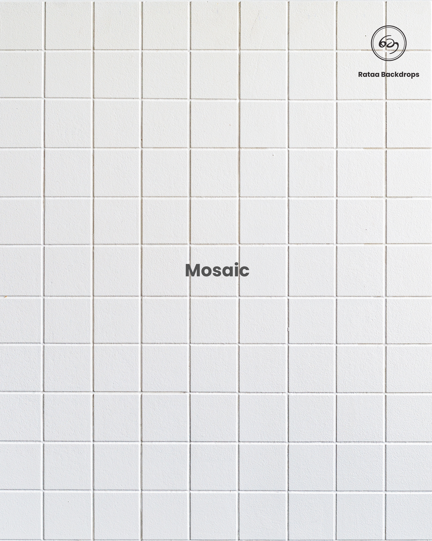 Mosaic Tiles Backdrop