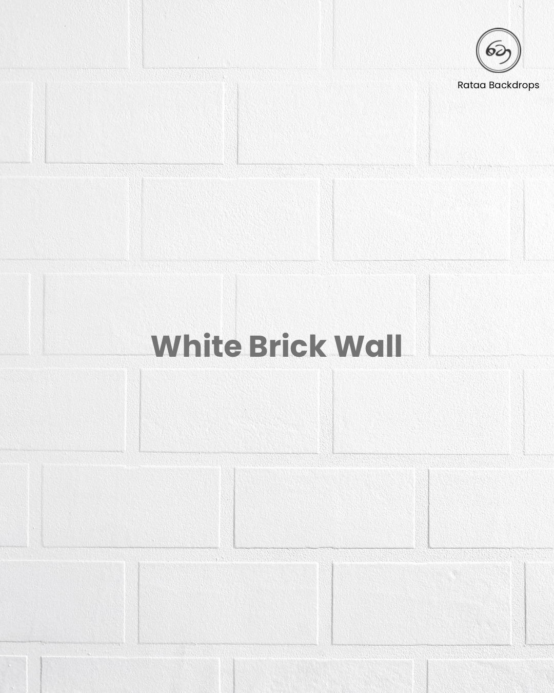 White Brick Wall_Rataa_Photography_Backdrop Sri lanka_