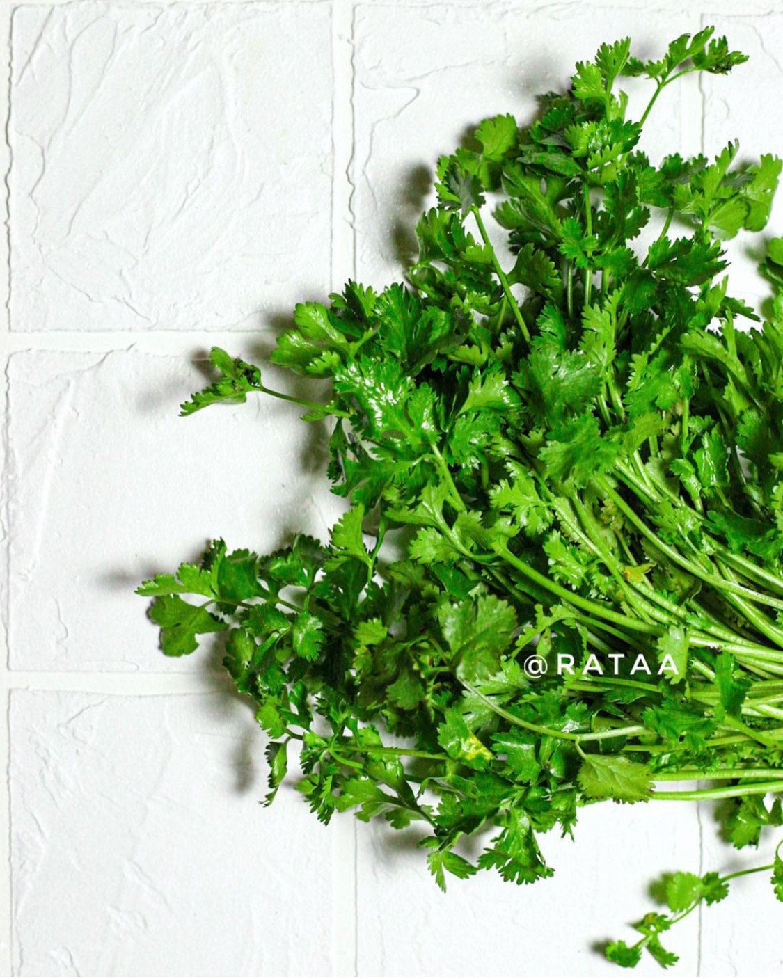 white kitchen tiles_Rataa_Photography_Backdrop_Sri_lanka2