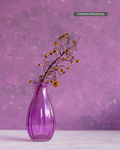 Celestia Backdrop