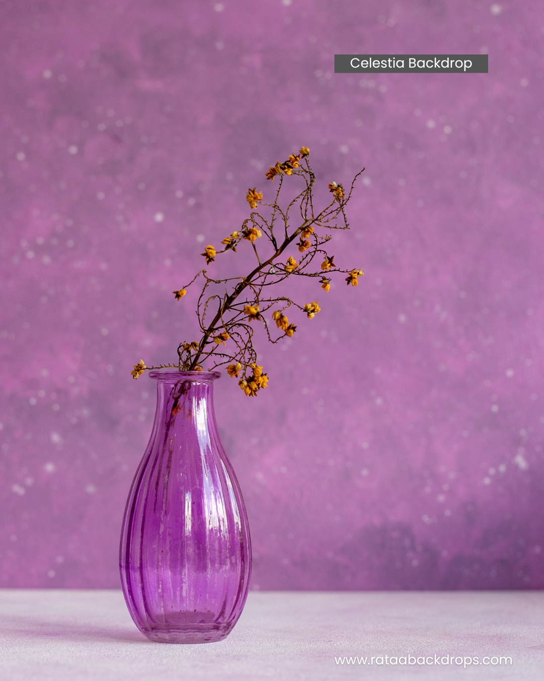 Celestia Backdrop