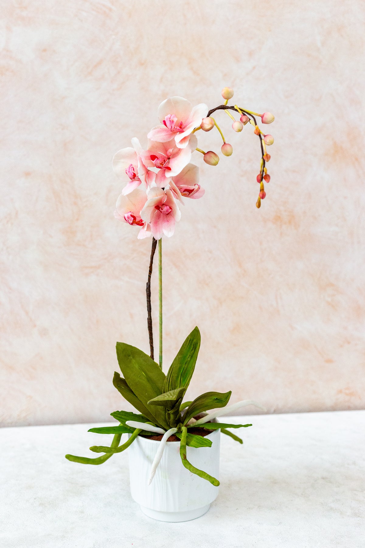 Opal Stone Backdrop