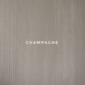 Champagine_Rataa_Photography_Backdrop Sri lanka_