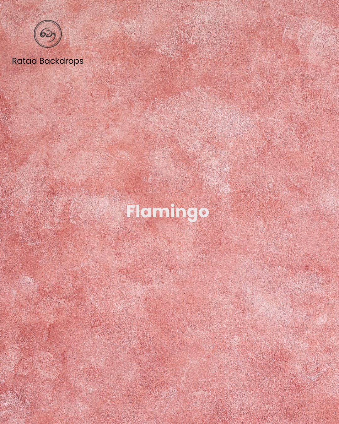 Flamingo Rataa photography backdrops Sri Lanka 