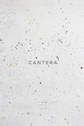 Cantera Canvas Backdrop