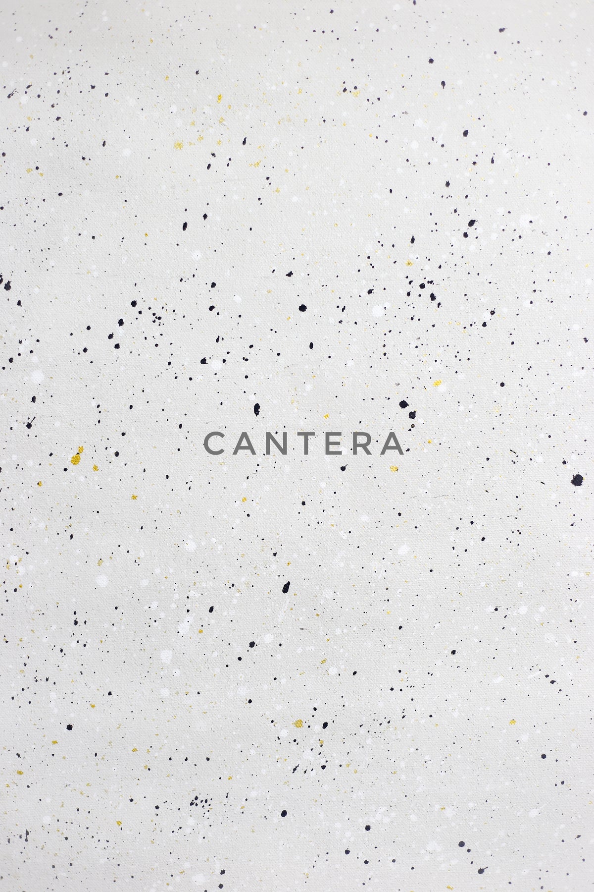 Cantera Canvas Backdrop