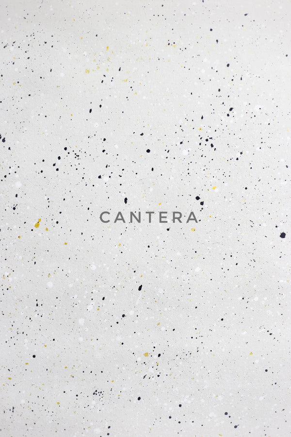 Cantera Canvas Backdrop