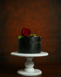 Lamara Canvas Backdrop