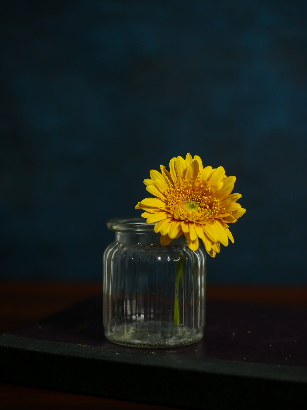 Zedan Canvas Backdrop