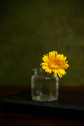 Kaira Canvas Backdrop
