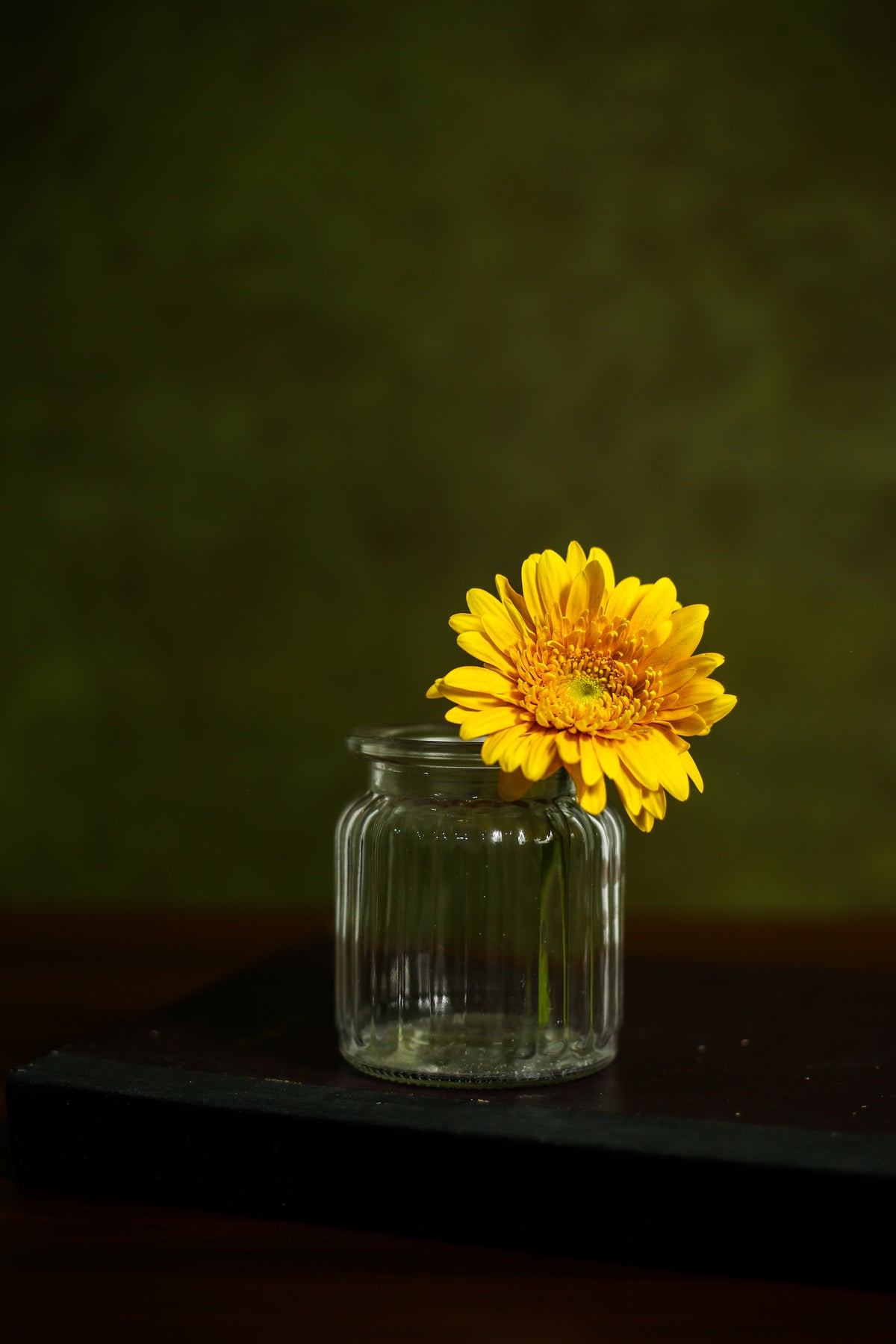 Kaira Canvas Backdrop