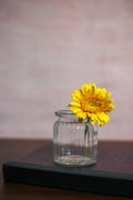 Isabella Canvas Backdrop