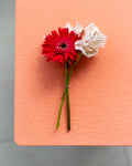 Pretty Peach Backdrop