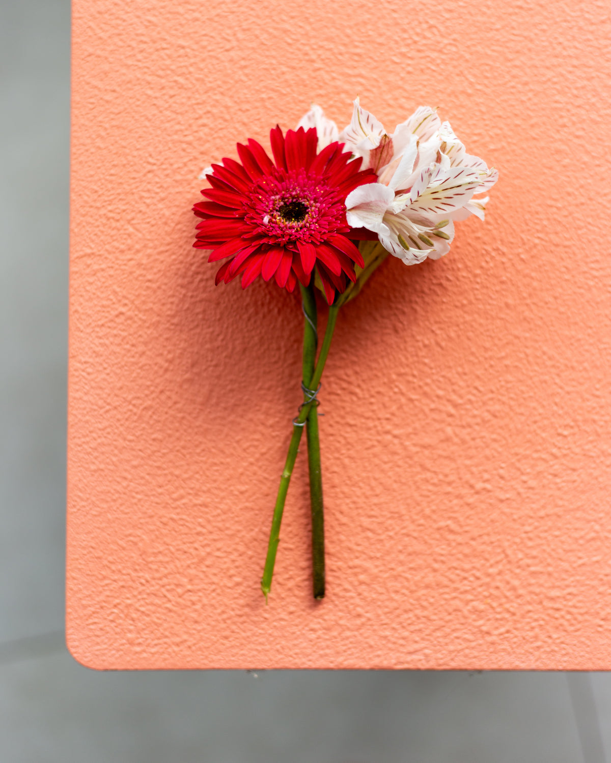 Pretty Peach Backdrop