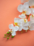 Pretty Peach Backdrop