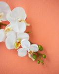 Pretty Peach Backdrop