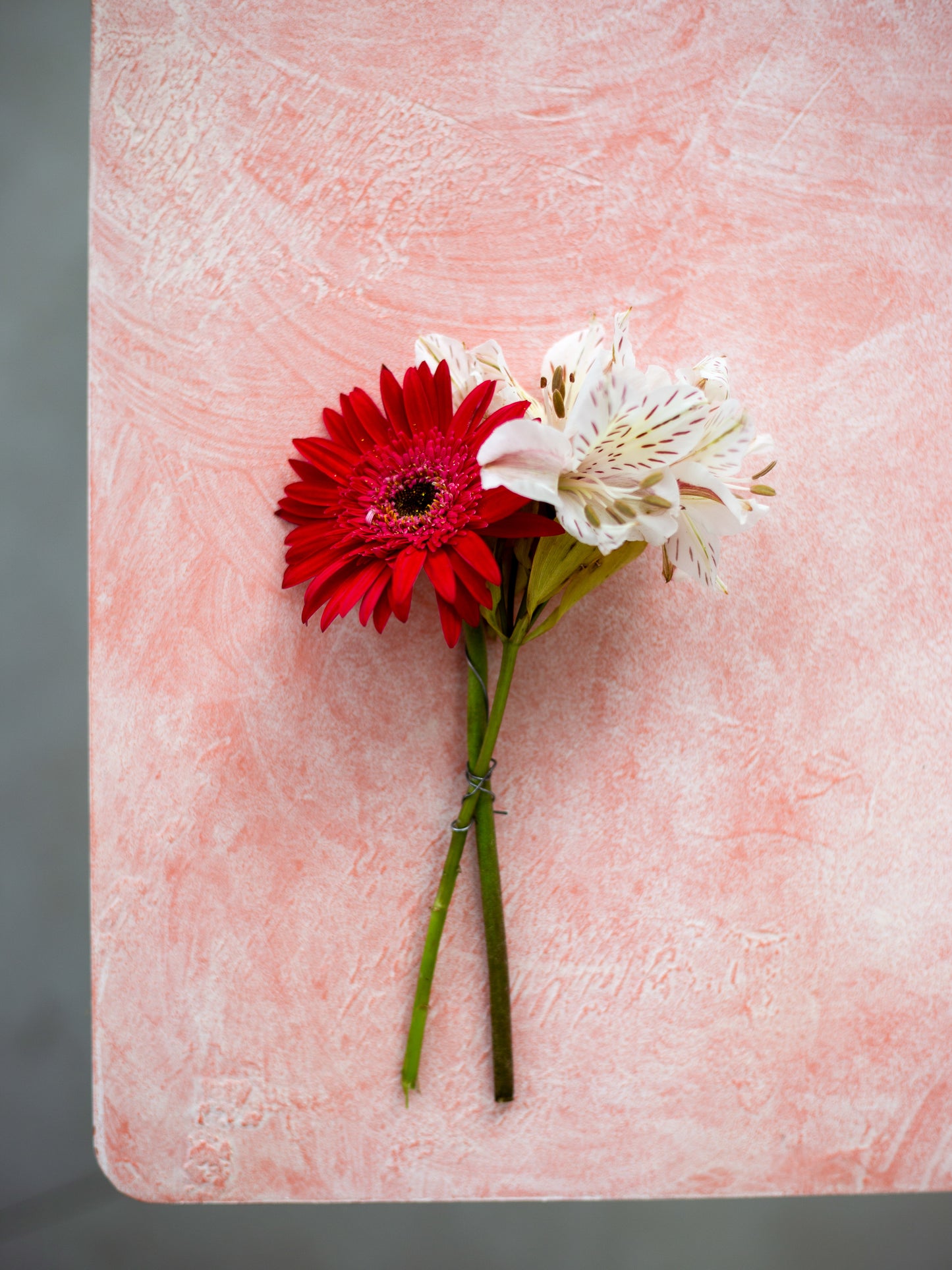 Peach Sorbet Backdrop