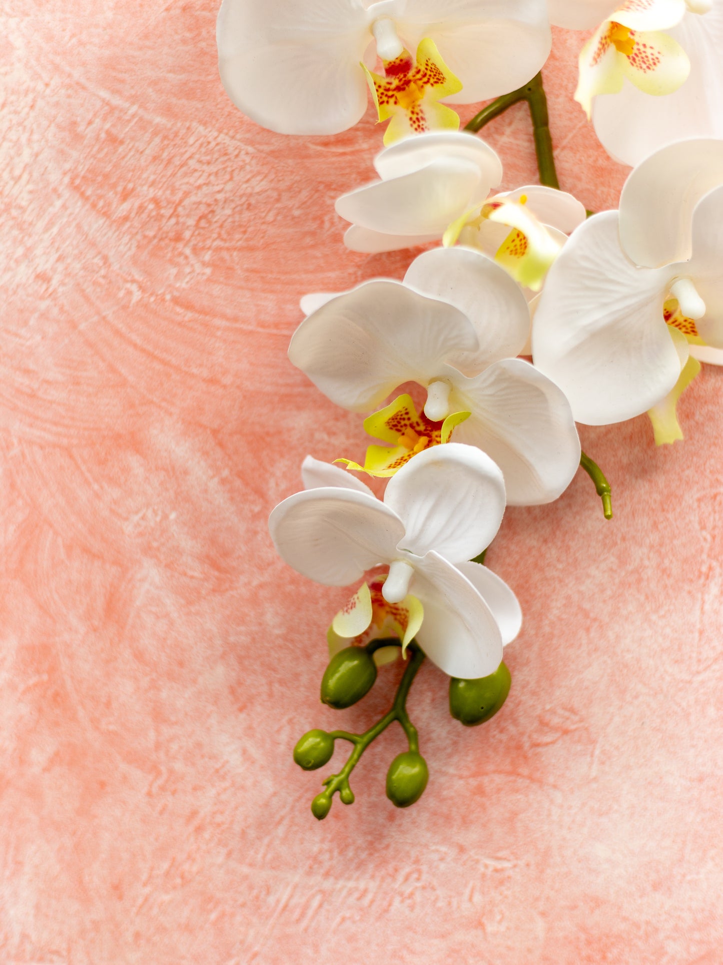 Peach Sorbet Backdrop