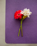 Viola Backdrop