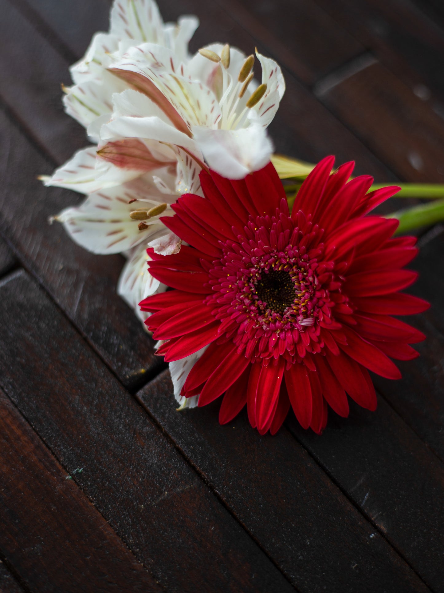 Classic Wood Backdrop