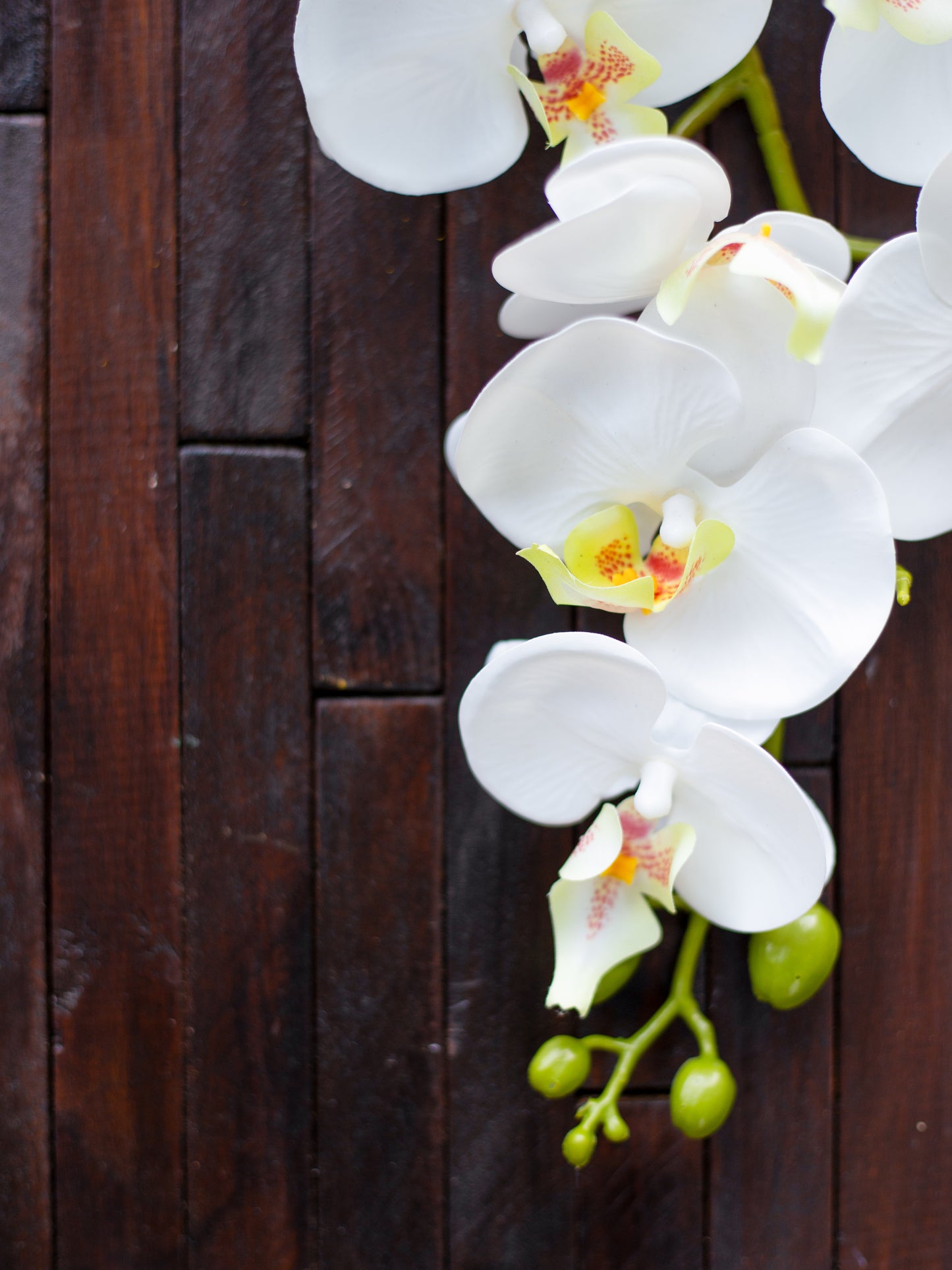 Classic Wood Backdrop
