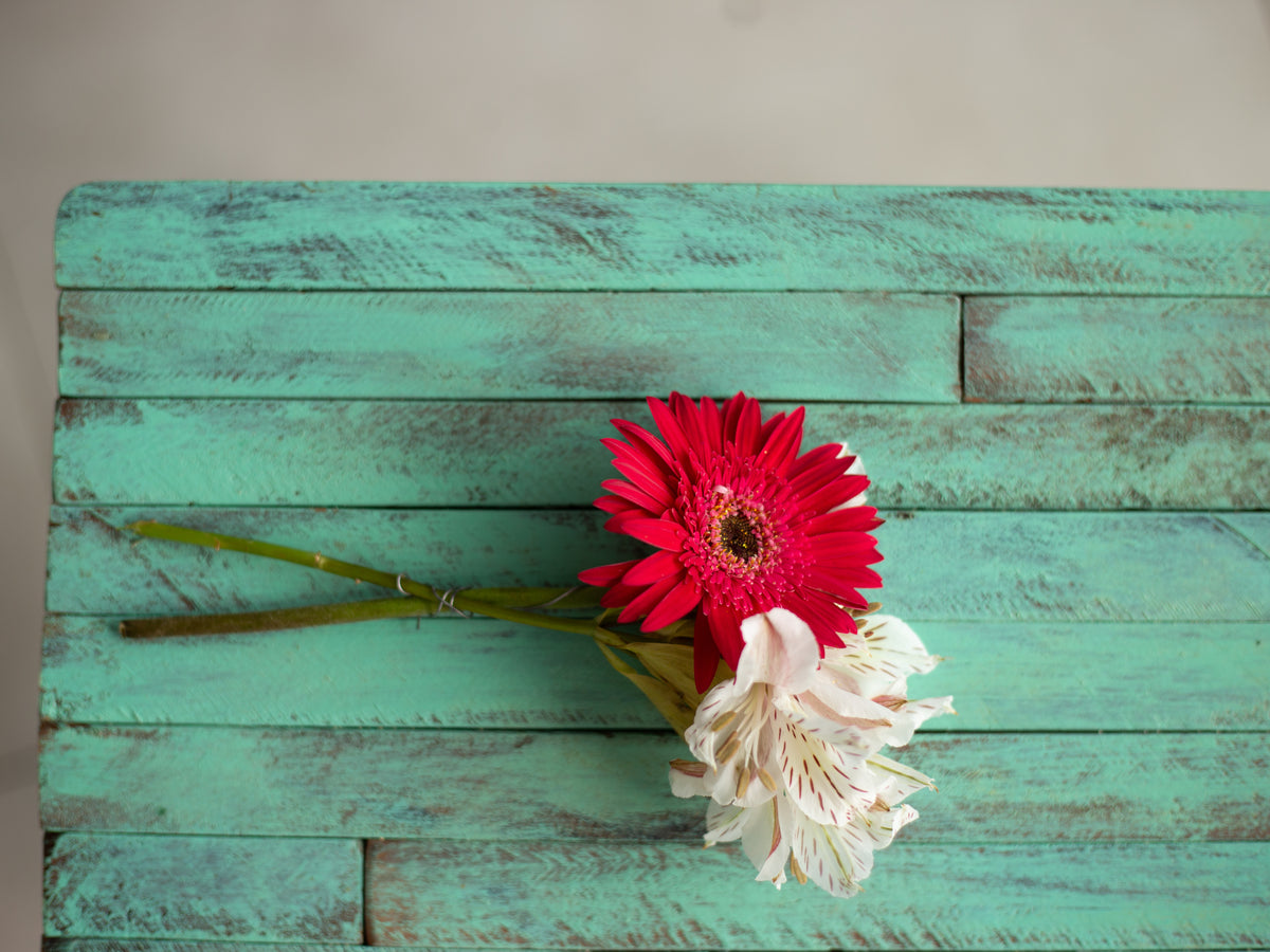 Aqua Wood Backdrop