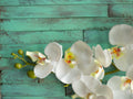 Aqua Wood Backdrop