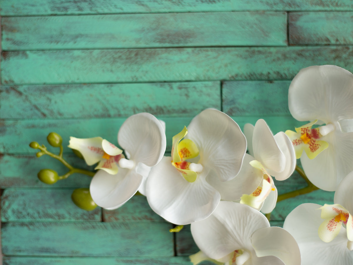 Aqua Wood Backdrop