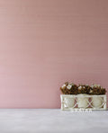Pinkalicious Backdrop