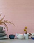 Pinkalicious Backdrop