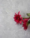 Concrete Backdrop