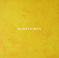 Sunflower Backdrop