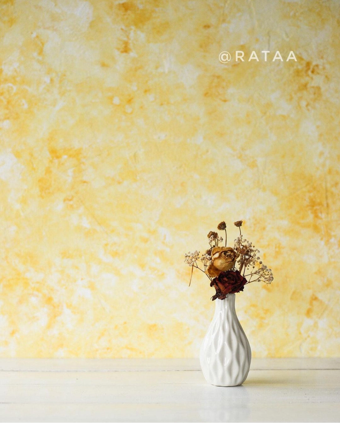 Sunshine Backdrop