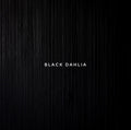 Black Dahlia Backdrop