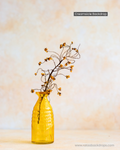 Creamsicle Backdrop 2ft by 2ft